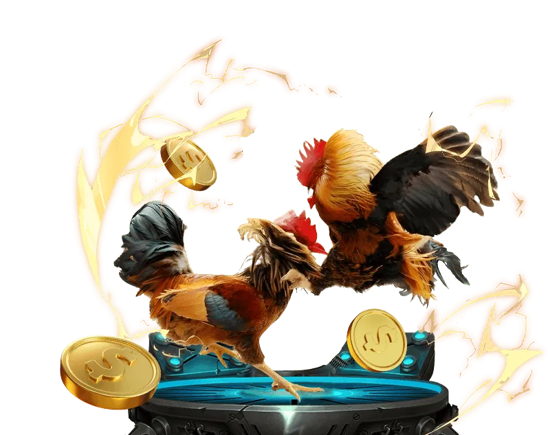 An toàn cá cược và trách nhiệm người chơi